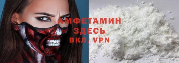 мдпв Магас