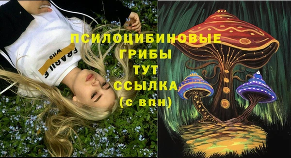 мдпв Магас