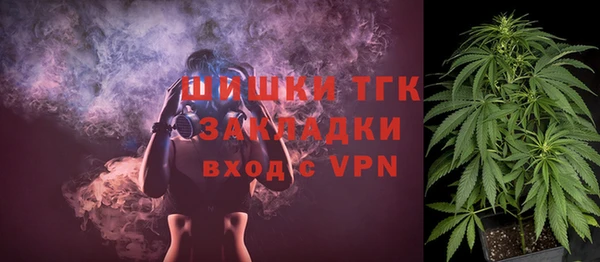 мдпв Магас