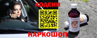 молекула духа Кингисепп