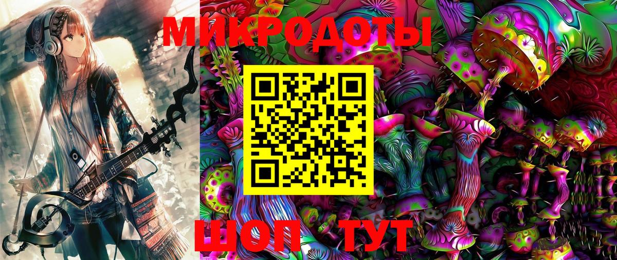 Псилоцибиновые грибы прущие грибы Сосновый Бор