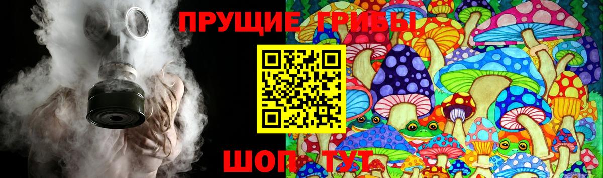 Галлюциногенные грибы Cubensis  Сосновый Бор  Галлюциногенные грибы мухоморы 